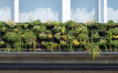 Muurtuin heeft als eerste brandattest voor gevelgroen beet