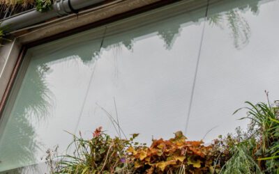 Dé duurzaamste muurtuin ter wereld komt uit België