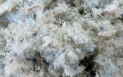 Cellulose: een veelzijdig isolatiemateriaal