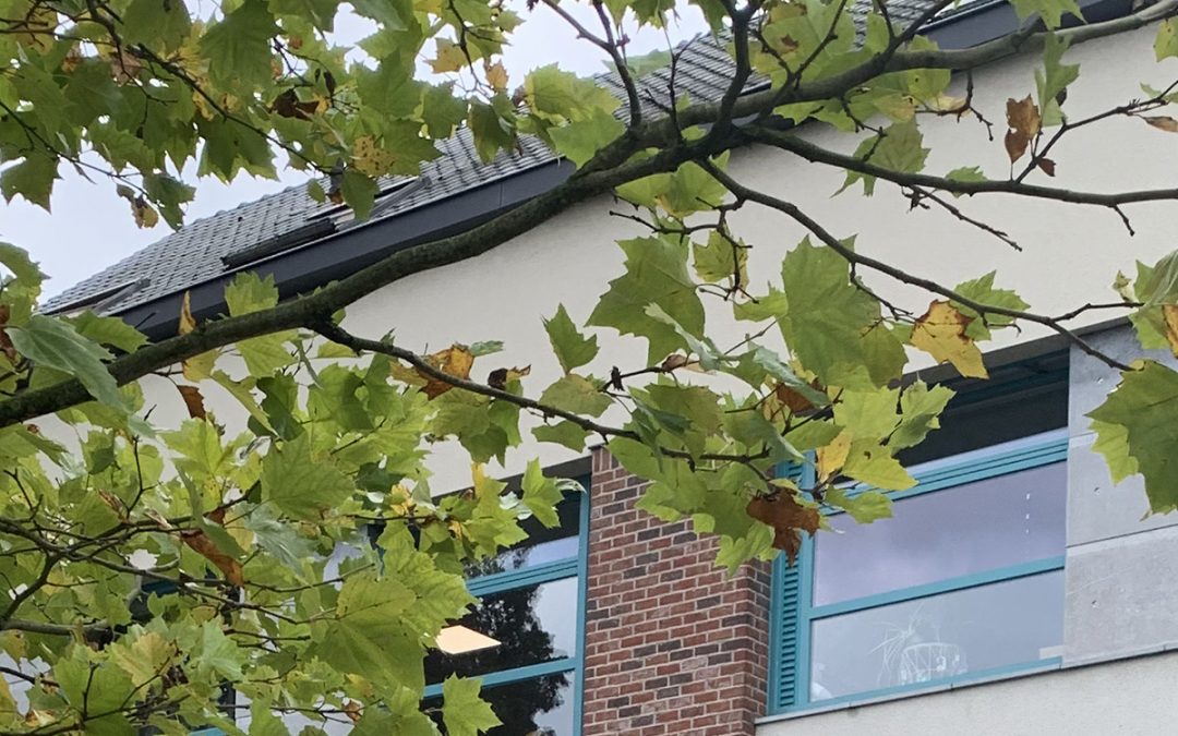 Gemeente Wevelgem zet circulaire ambities scherp