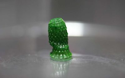 Levend bouwmateriaal vol bacteriën eet CO2 op