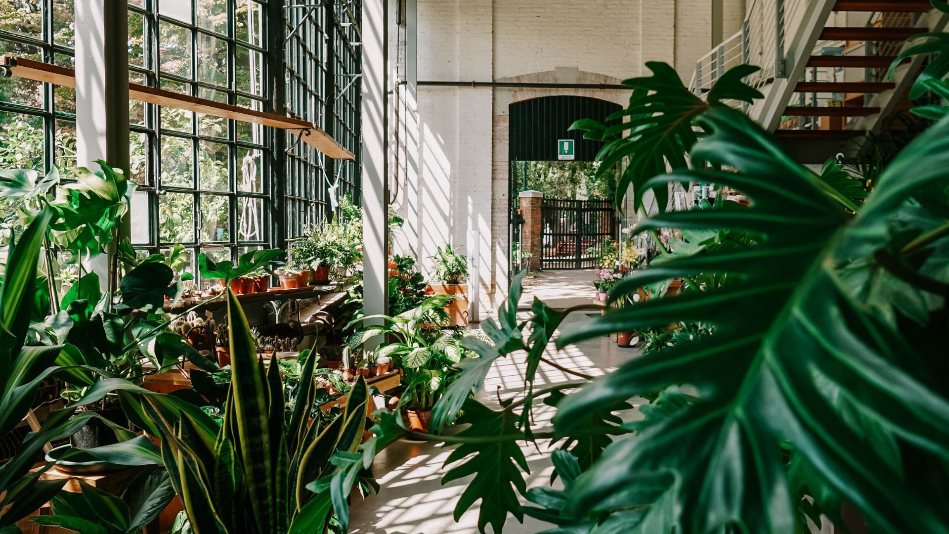 Een voorbeeld van biophilic design met veel kamerplanten.