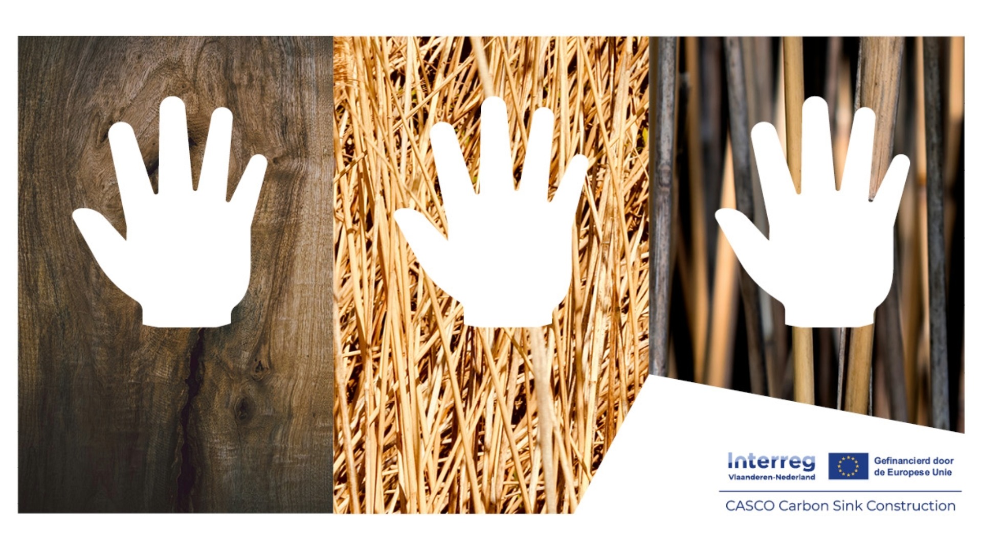 Visual voor de cocreatiesessies van CASCO Carbon Sink Construction.