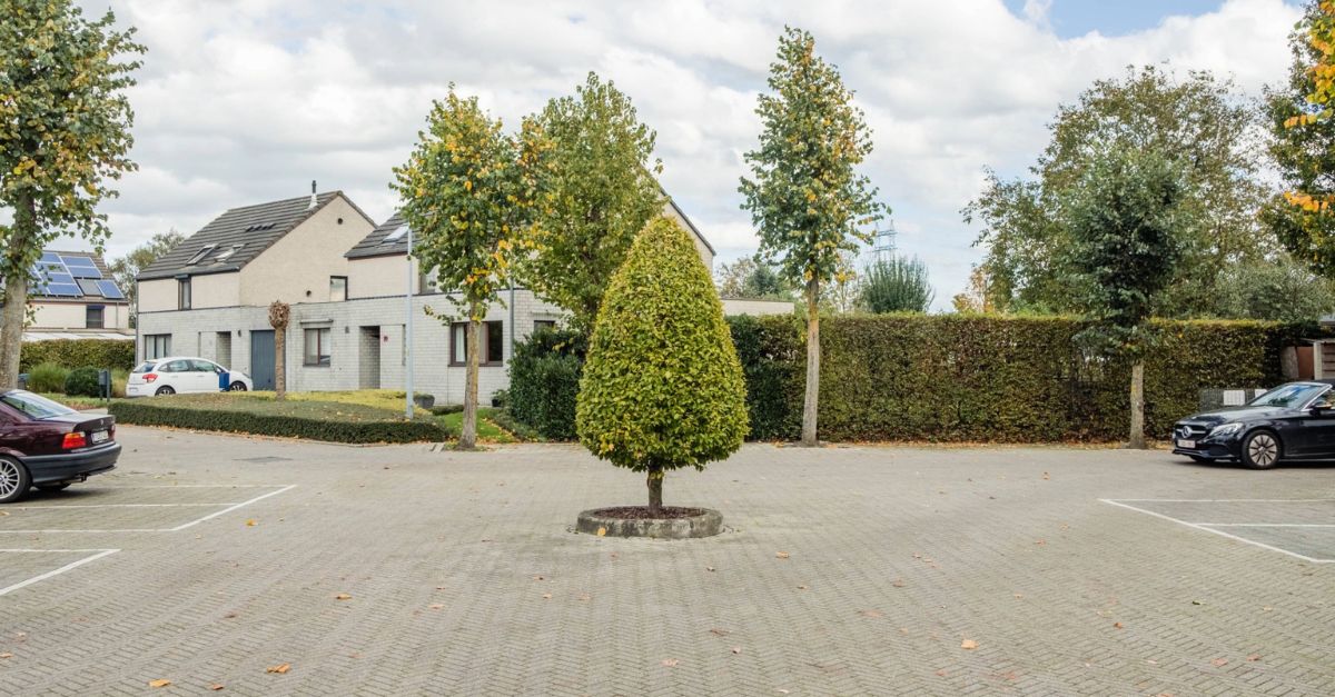 Een sfeerfoto van een typische Vlaamse sociale woonwijk.