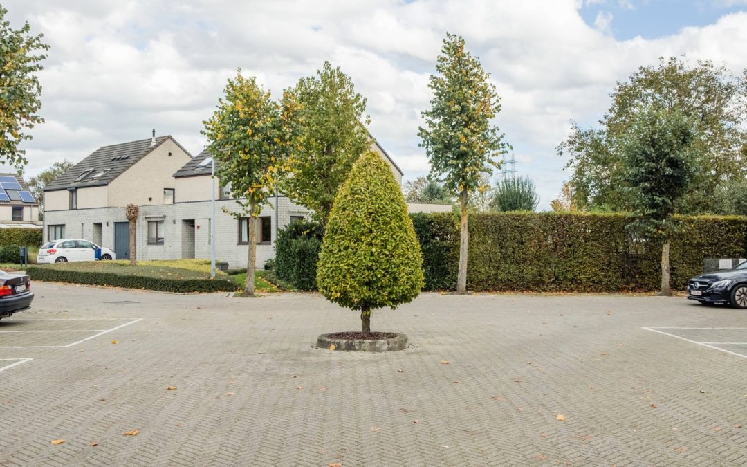 Themadag ‘Sociale woonwijken als groenblauwe parels’ op 23 april 2026