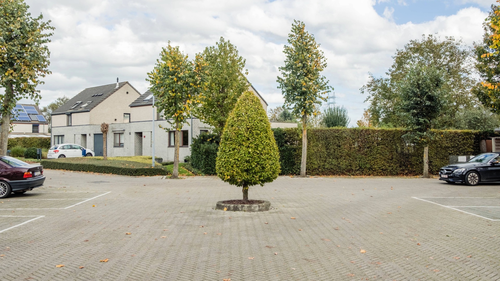 Themadag sociale woonwijken Een sociale woonwijk met veel verharding en weinig groen.