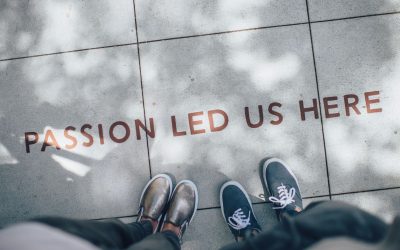 VIBE zkt. coördinator (freelance, 2-3 dagen/week)